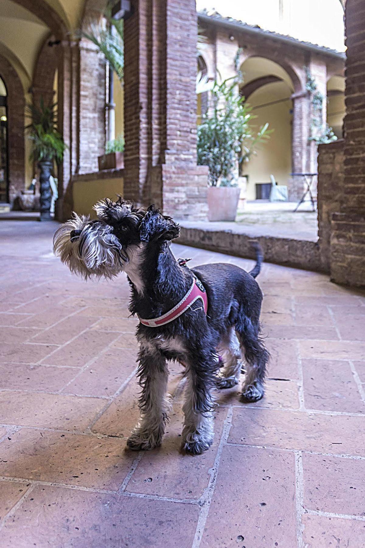 Il Chiostro Del Carmine Hotel Siena Luaran gambar